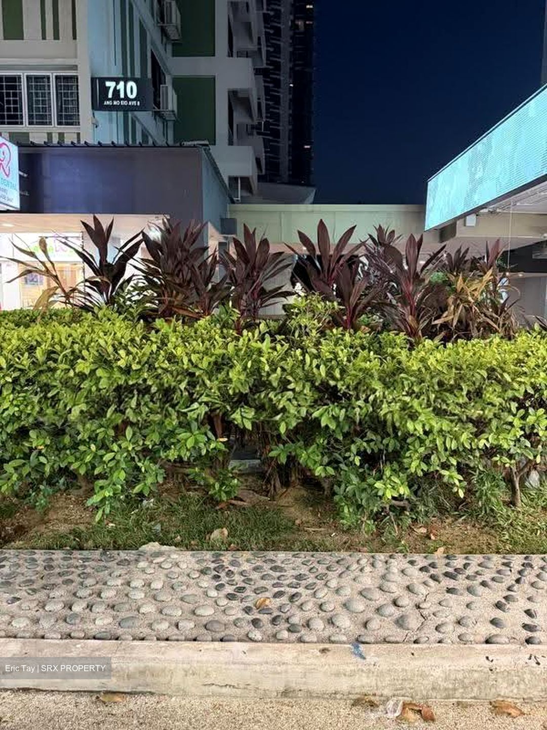 Ang Mo Kio Avenue 8 (D20), Shop House #611822531